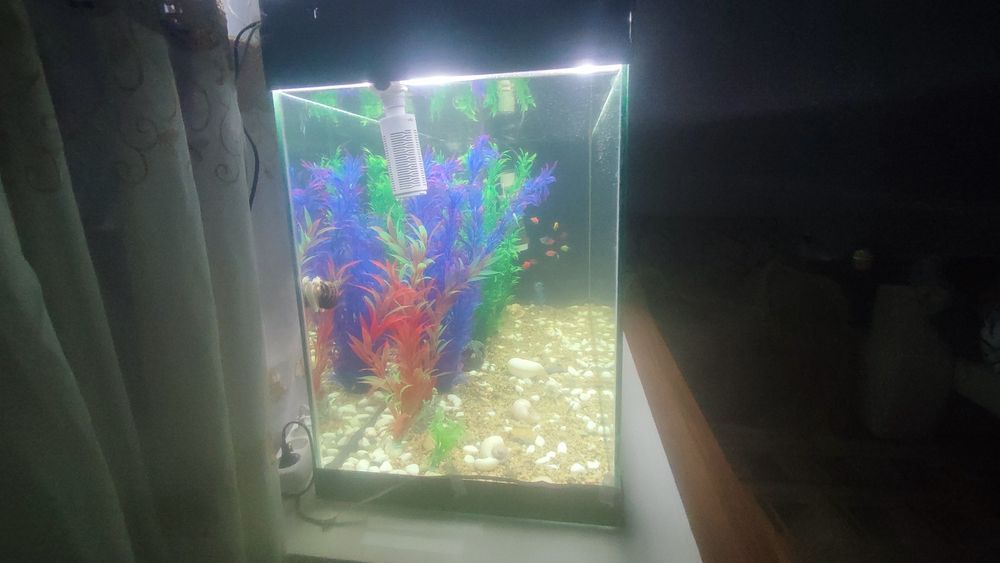 Продам большой аквариум с рыбками