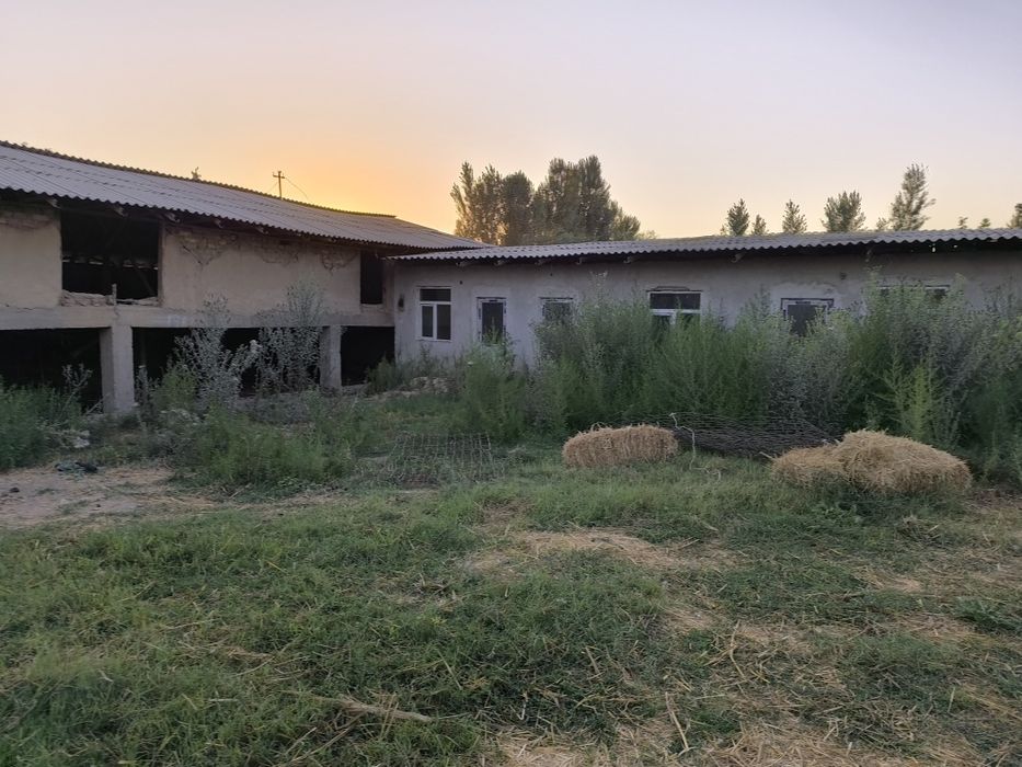 Вилла куриш учун мулжалланган 20 сотих бог девор уралган