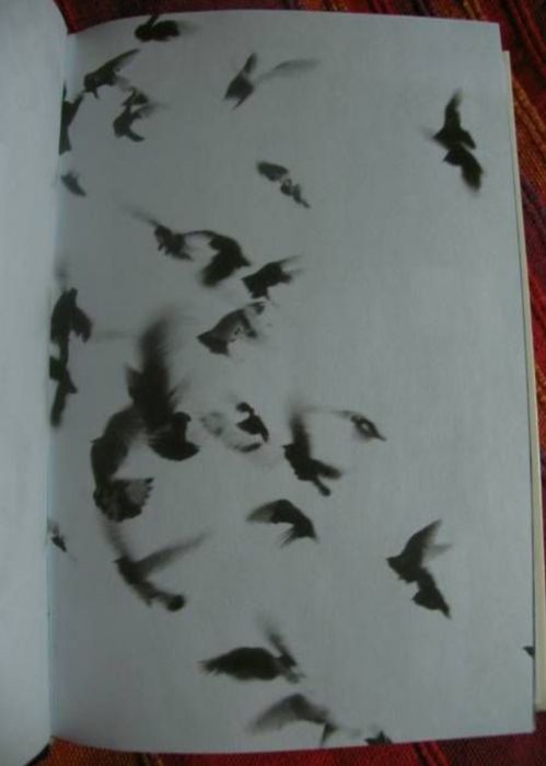 Жутко громко и запредельно близко