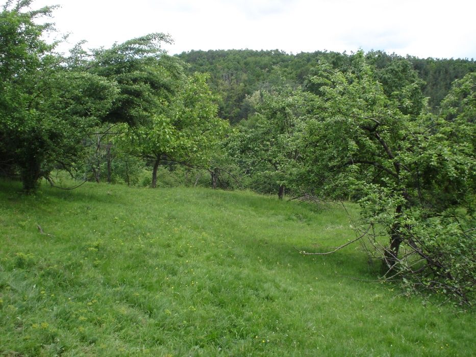 Продава се Парцел в Трявна - 2552 кв.м за 6 €/кв.м - Снимка #1