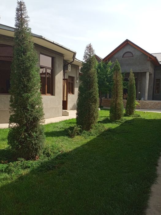 Archalarga manzarali daraxtlarga ishlov berish