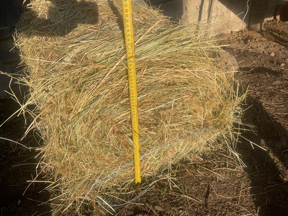 Vând baloți rotunzi