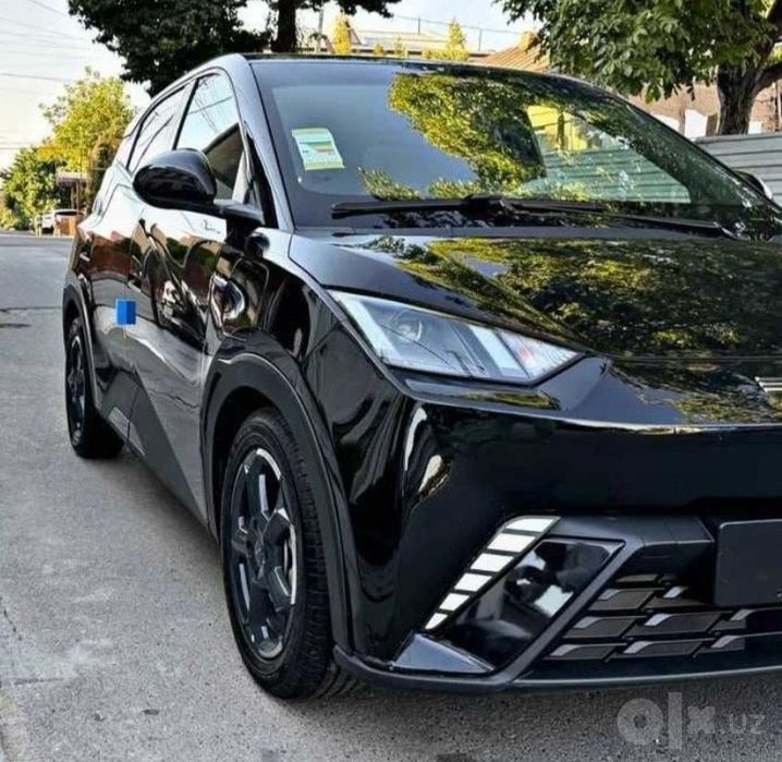 Arenda  BYD.  Sigull   2025 Toza