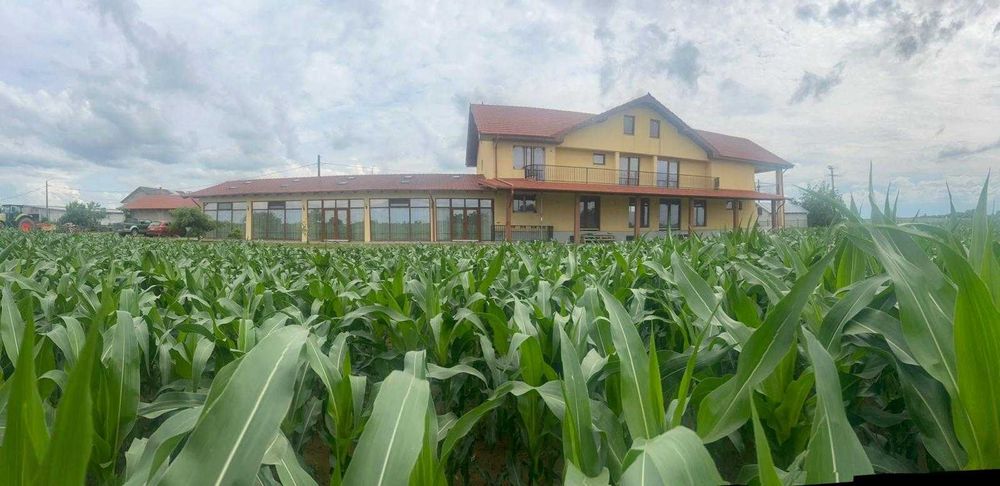 De vanzare FERMA de vaci cu anexe si utilaje CU 2 case de 1051 mp