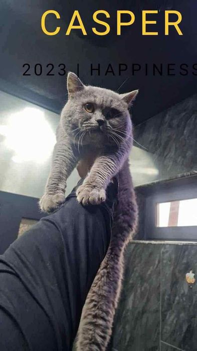 Vyazkaga ikta polvon