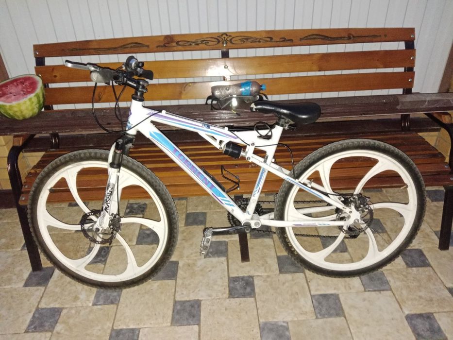 Torrent Optitron 2020 года