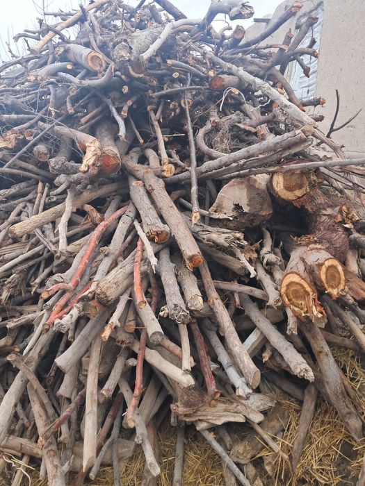 O‘tin sotiladi narxini kelishamiz