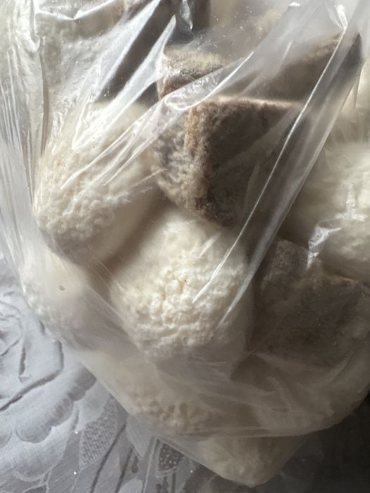 Продам курт. Сузбе