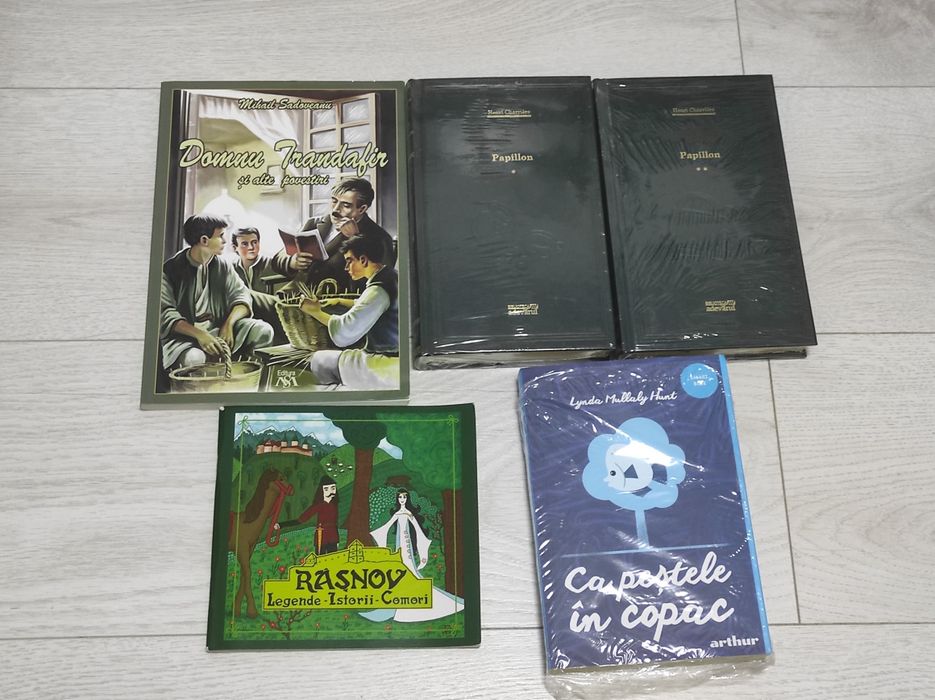 Minunea Inimă de cerneală Jurnalul unui puști Istoria lu Răzvan Isidor