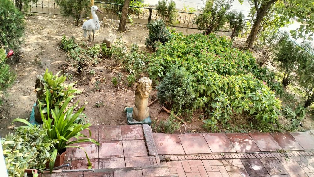 Уй  сотилади шароти яхши