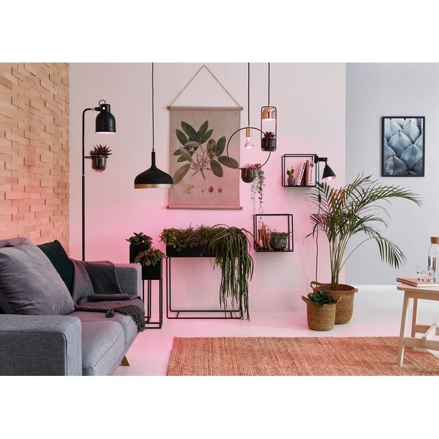 LED крушка за растения Paulmann PAR38