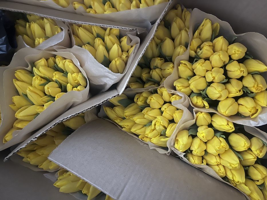 Тюльпаны доставка 7-8 марта