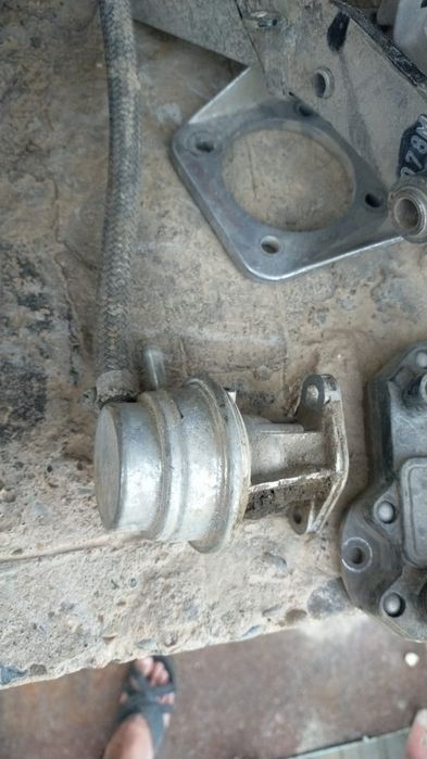 Мерседес заттары.