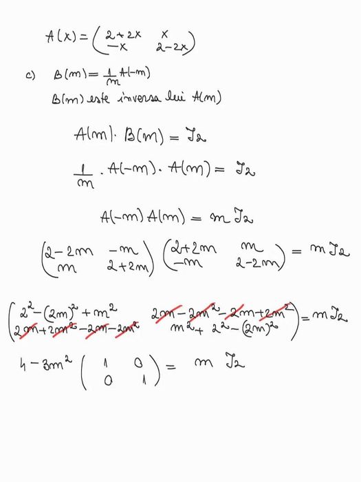 Meditatii Matematica si Informatica BAC si ADMITERE CLUJ Poli/UBB