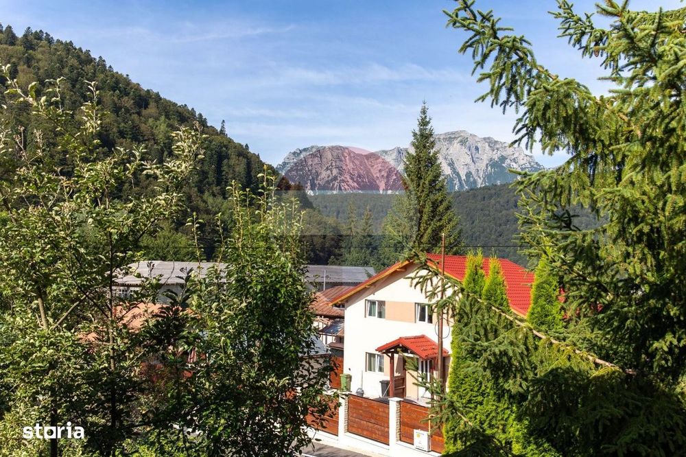 Casă de vacanta, in mijlocul naturii, Azuga!