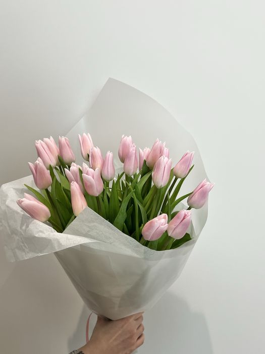 Тюльпаны цветы, по выгодной цене