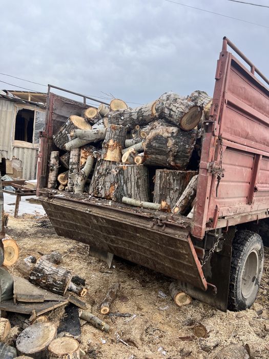 Карагач для шашлыка