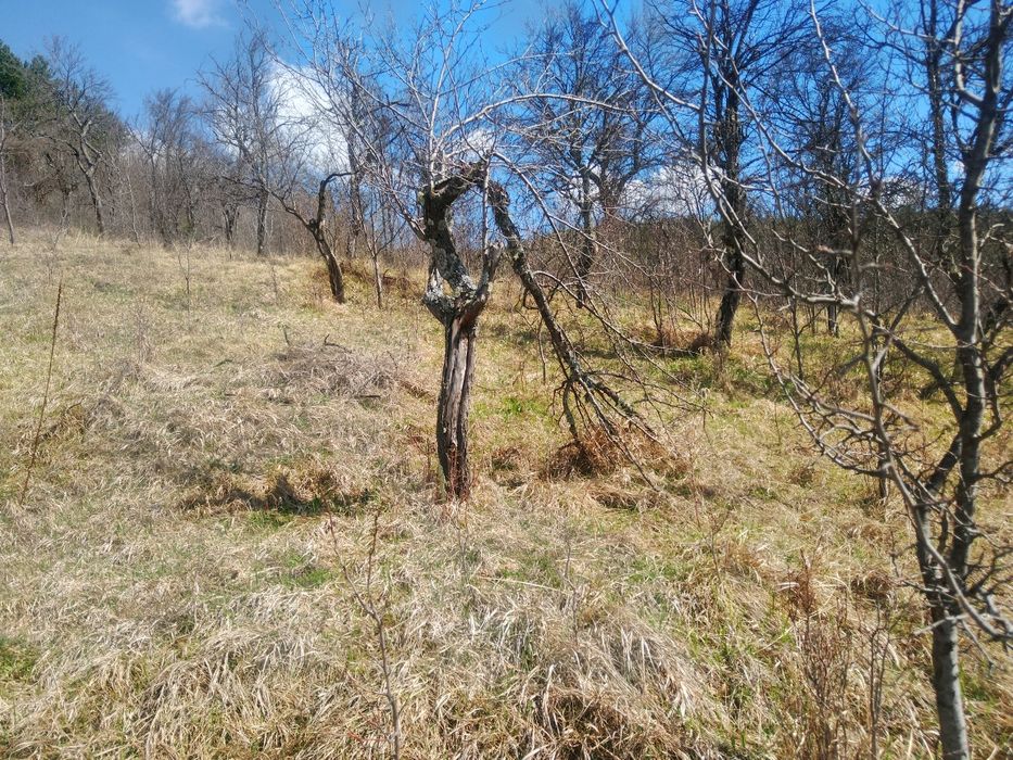 Парцел за жилищно строителство
