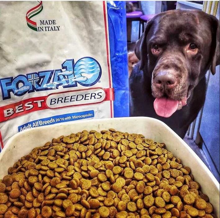 Сухой корм для собак Форза 10 (Forza10) 20 кг ягненок