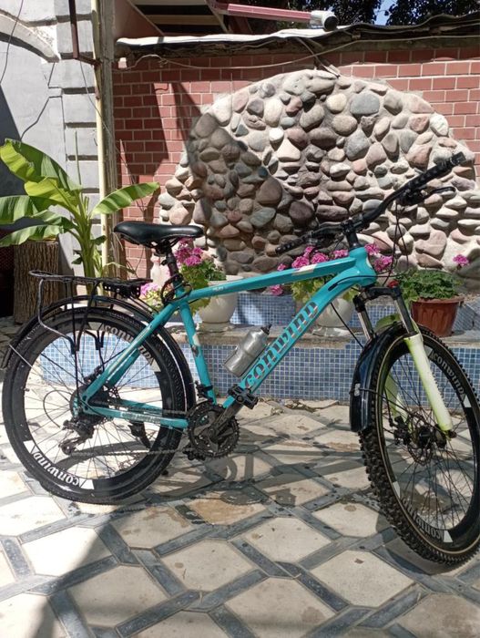 Velosapet sotiladi