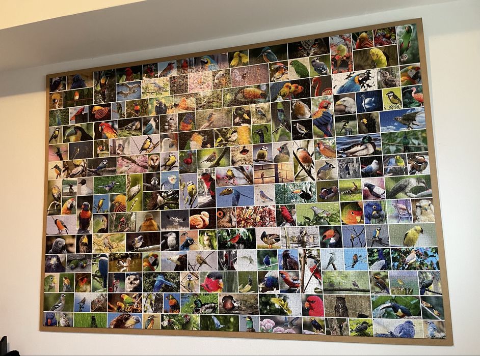 Puzzle 1500-4000 de piese