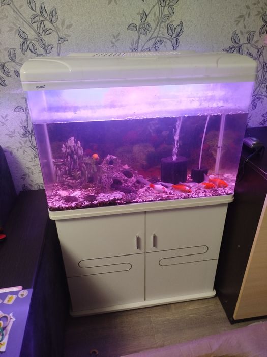 Продам Аквариум с тумбой