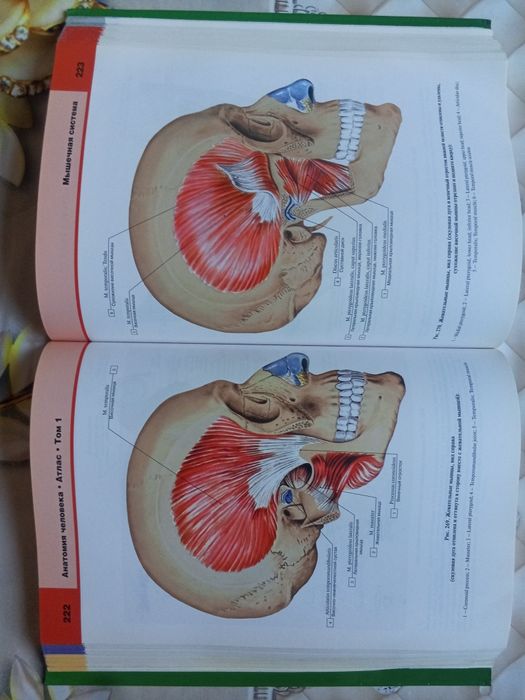 Atlas anatomiyasi sotiladi