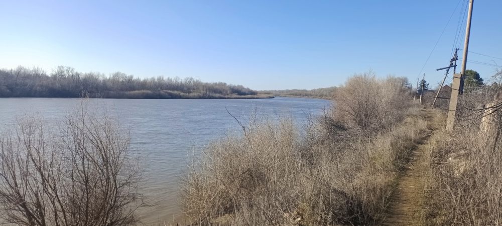 Сдам дачу в аренду