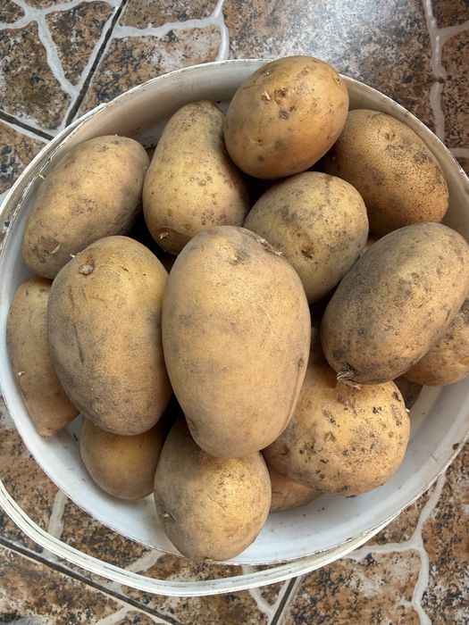 Домашний картофель