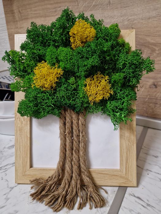 Дизайнерски картини от скандинавски мъх