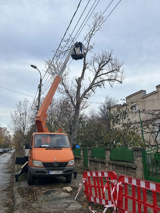 Toaletari copaci,arbori Inchirieri nacele prb 21m Nacela de inchiriat)