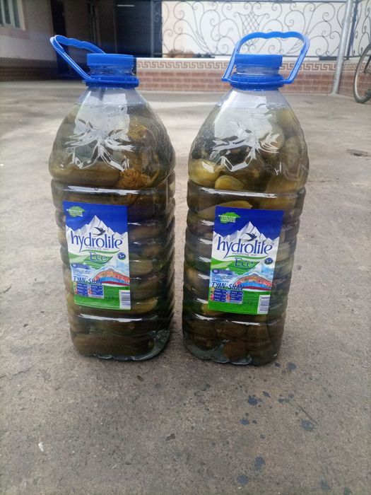 Tuzlangan bodring sotiladi