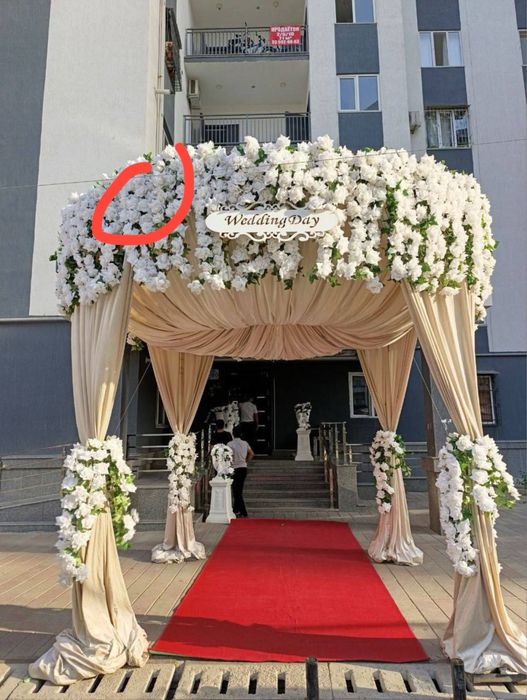 Ofarmleniya gullari arzon narxda