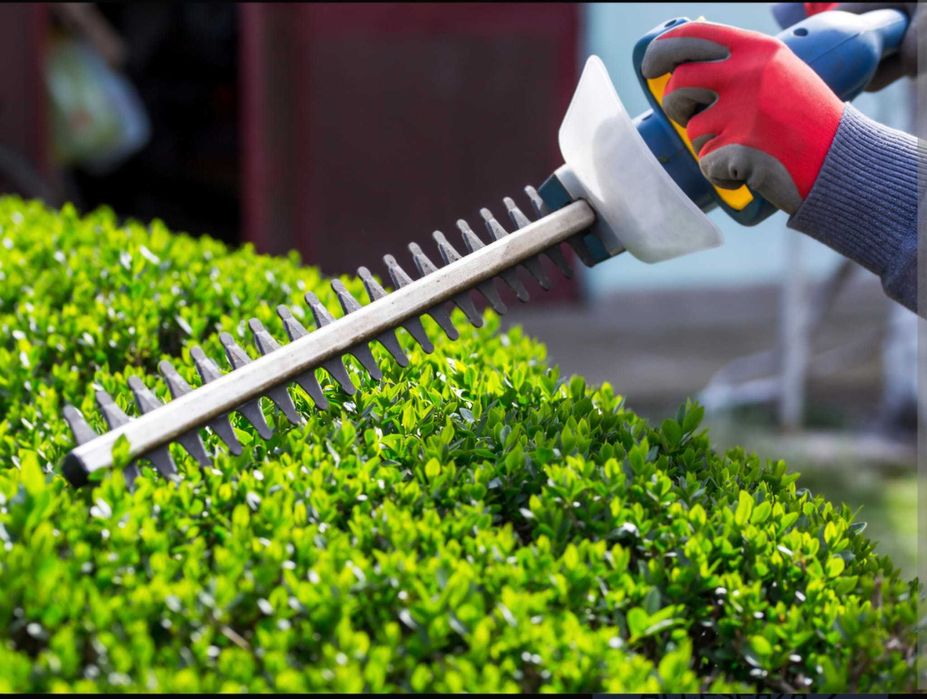 Amenajări grădini | Gazon | Irigații automate | Smart Garden