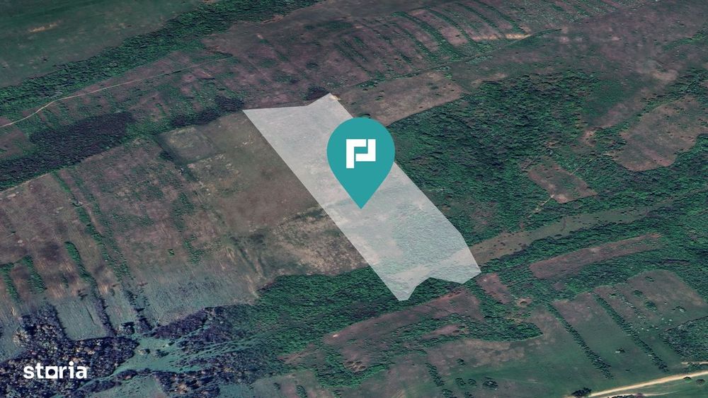 Teren arabil de 11,3 hectare în Bara, Timiș