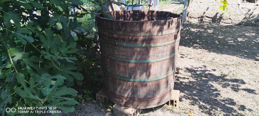 Каца за Вино 600л.