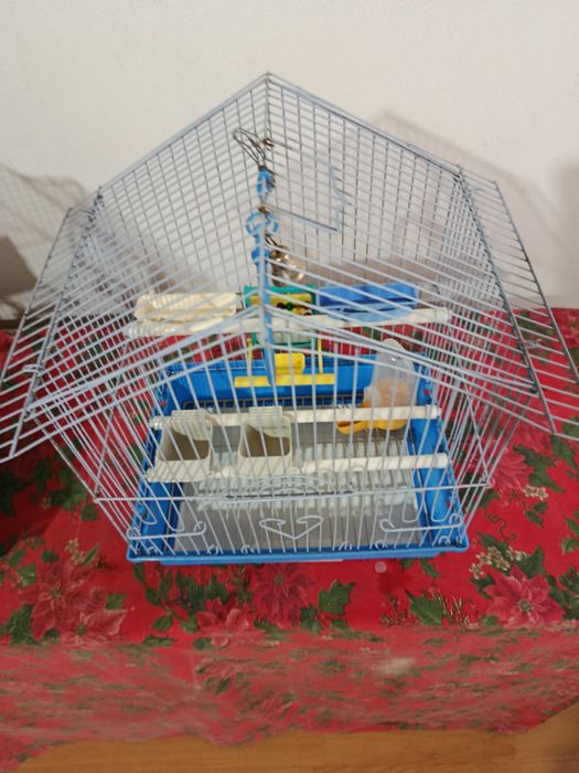 Vând 2 colivii pentru papagali peruși și canari