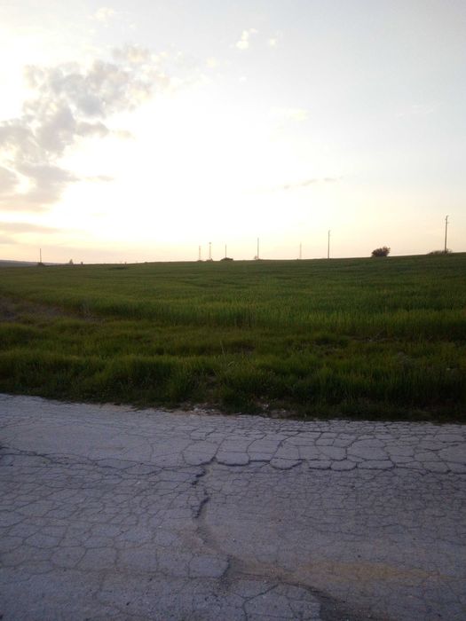 Продава се Земеделски имот в с. Близнаци, Област Варна -  кв.м за 8840 €/дка - Снимка #2