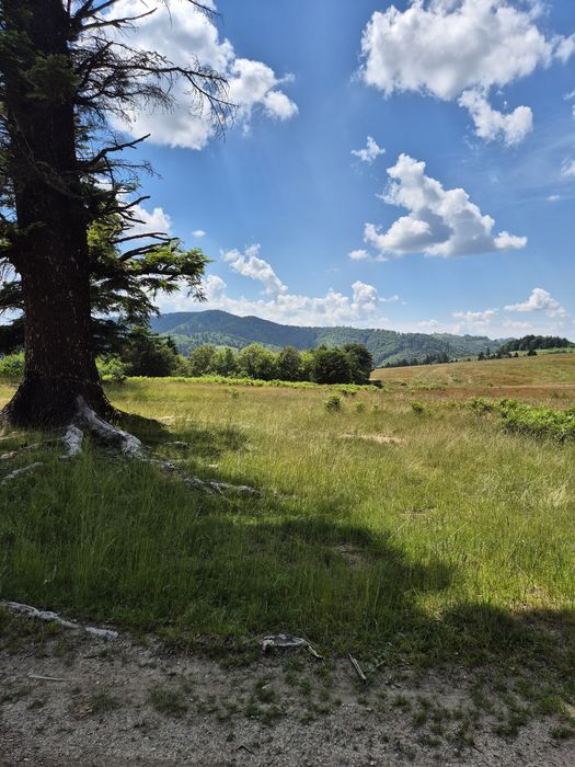 Teren Superb de Vânzare în Holbav, Jud. Brașov - 3546 mp, PUZ în Lucru