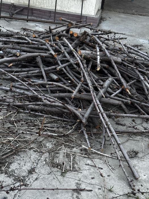 Продам дрова от фруктовых деревьев