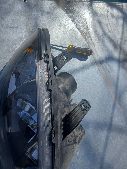 Gentra amerikanka fara