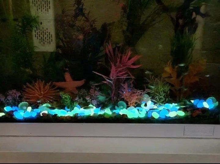 Akvarium uchun fosfor toshlar sotiladi