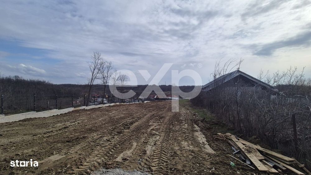 Teren 1.500 mp langa padure, Albota – liniste, natura si potential d