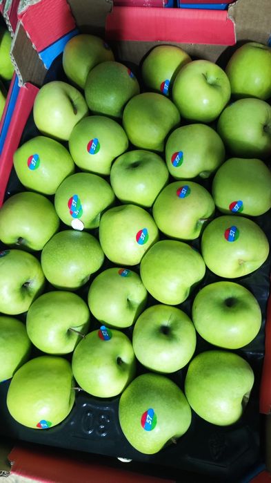 Яблоко зелёное Азербайджан