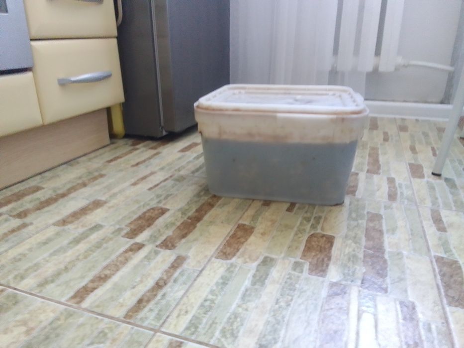 Продам куботейнеры под засолку