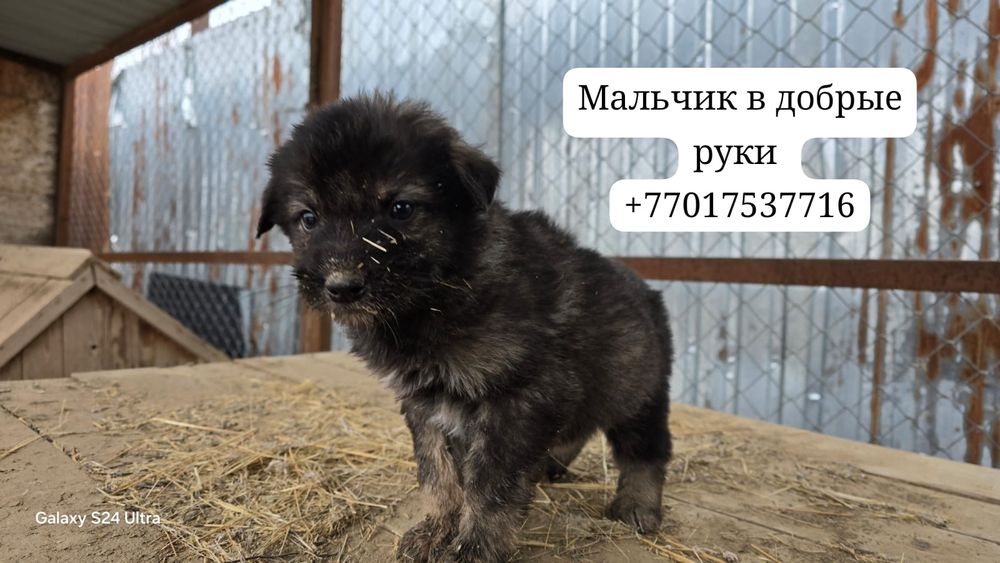 В самые добрые и ответственные руки