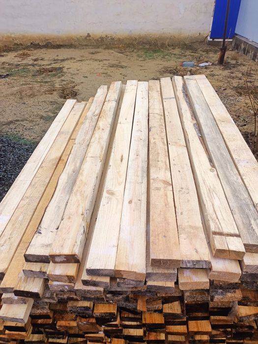 Әр түрлі ағаштар,