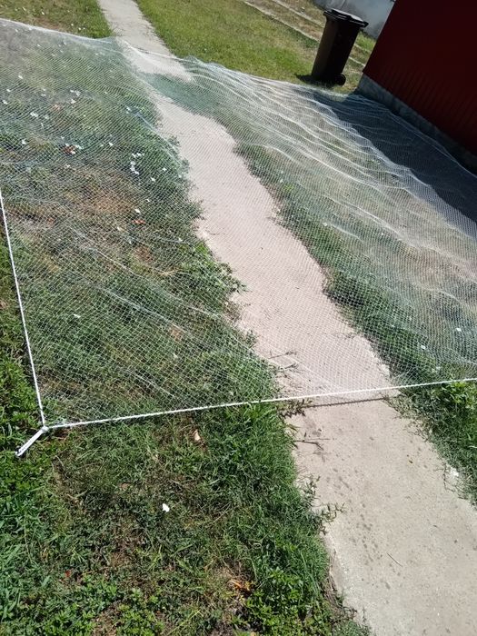 Momeala pește,plasa halau