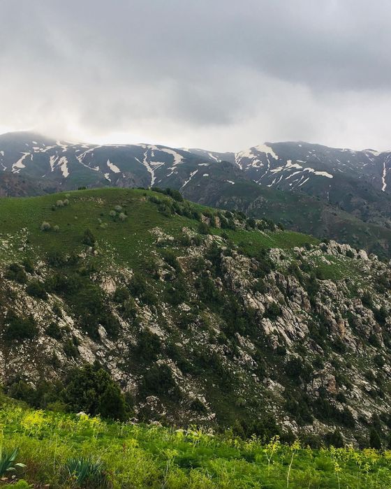 Услуга такси на заказ, загород