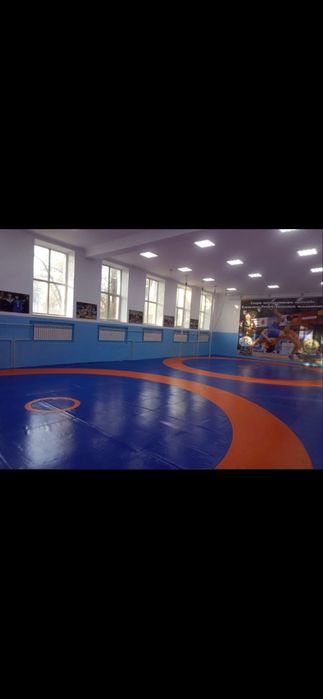 Ковер борцовский